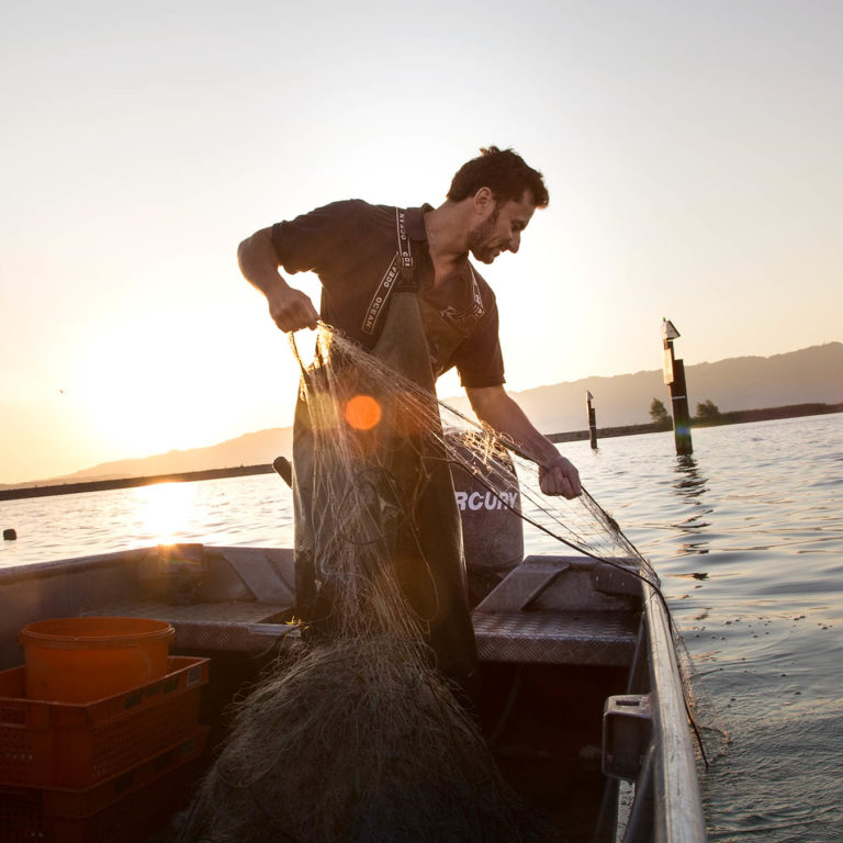 Fischer Franz Blum © Joachim Negwer