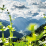 Alpe Ganera, Montafon (c) Dietmar Denger / Vorarlberg Tourismus