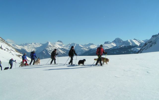 Winterwandern mit dem Hund (c) Thomas Bauer / Lexlupo