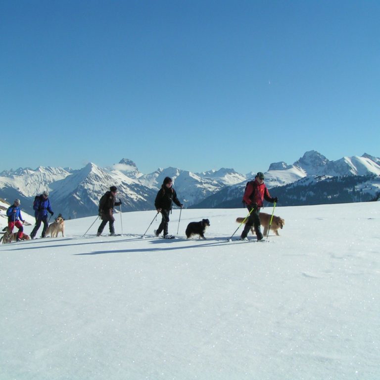 Winterwandern mit dem Hund (c) Thomas Bauer / Lexlupo