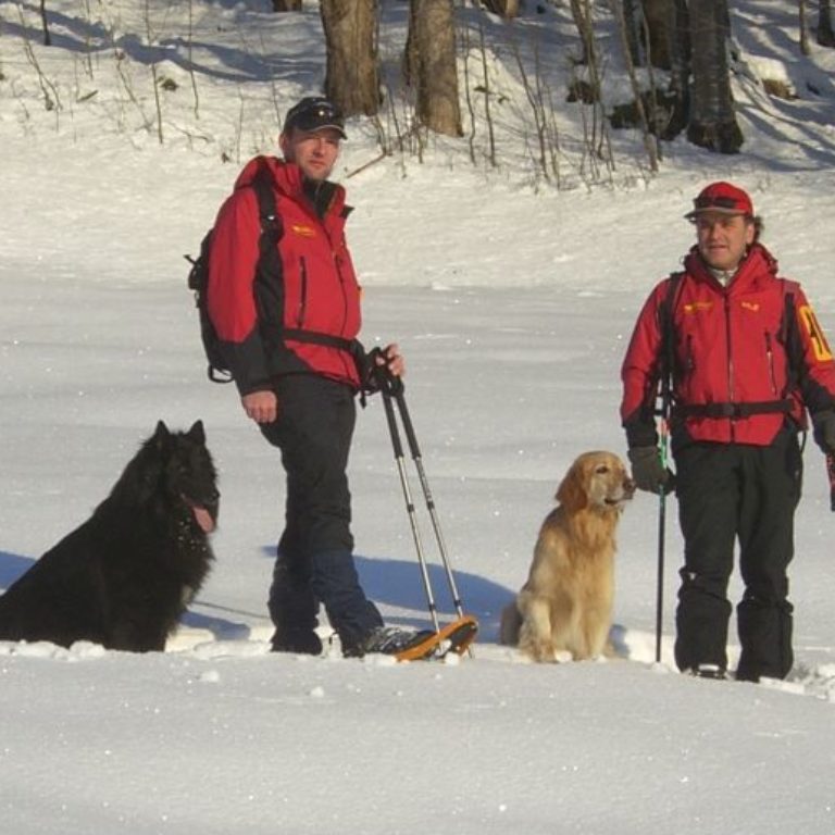 Winterwandern mit dem Hund Spaß im Schnee in Vorarlberg