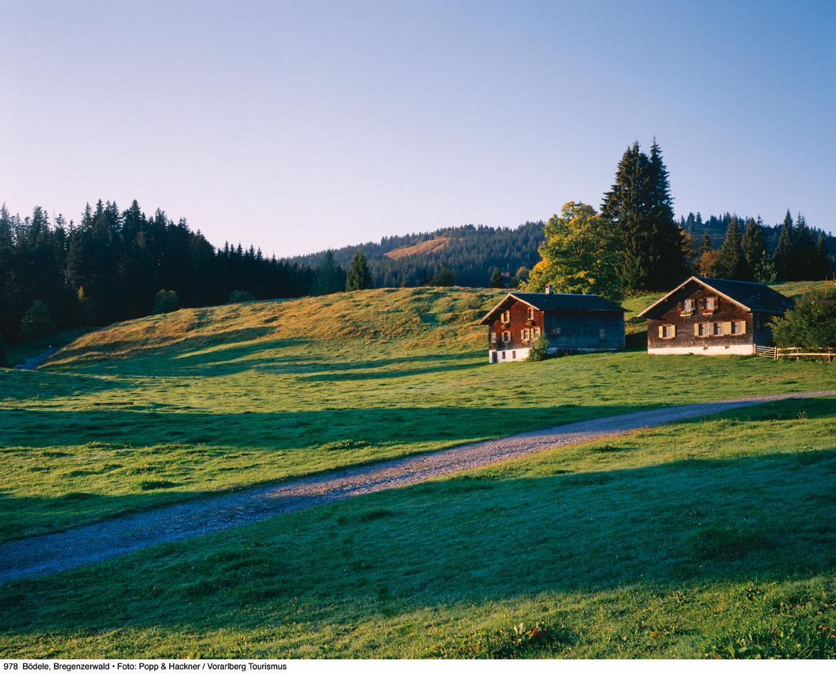 Bödele Urlaub in Vorarlberg