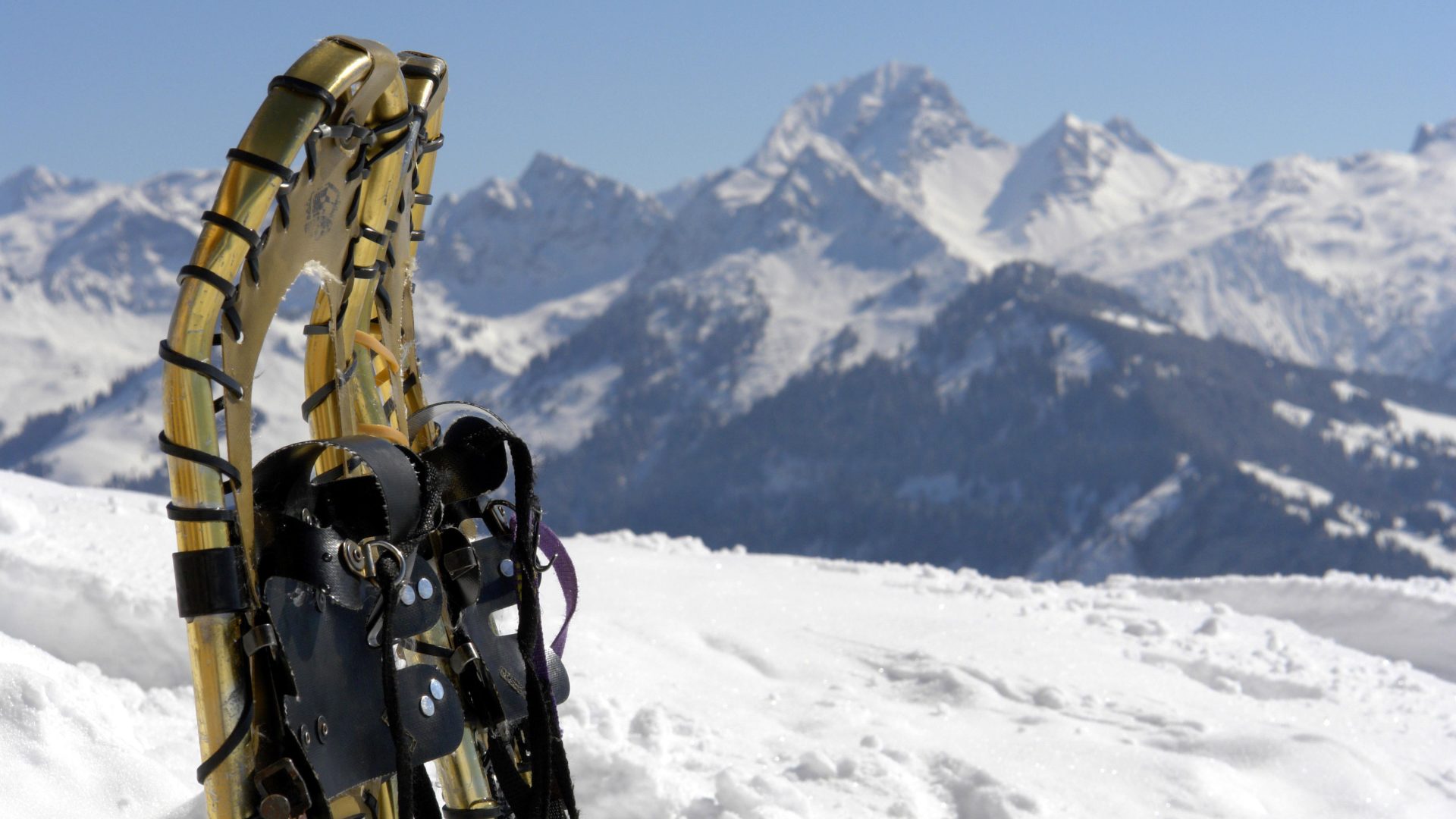 Schneeschuhwanderung zur Gassner Alpe