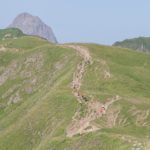 Widderstein Trail