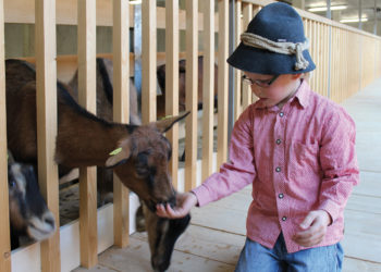 Bauernhof be-greifen, Kind mit Ziege, Metzler NATURHAUTNAH © naturhautnah.at