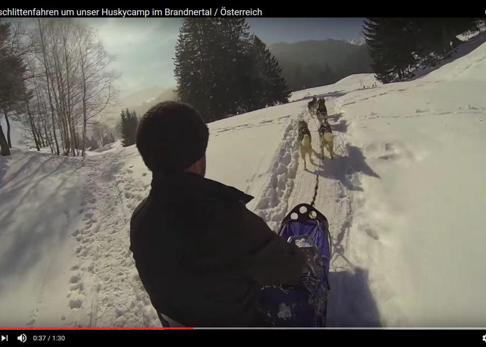 Video Startbild Hundeschlittenfahren Husky Toni Brandnertal (c) Husky Toni