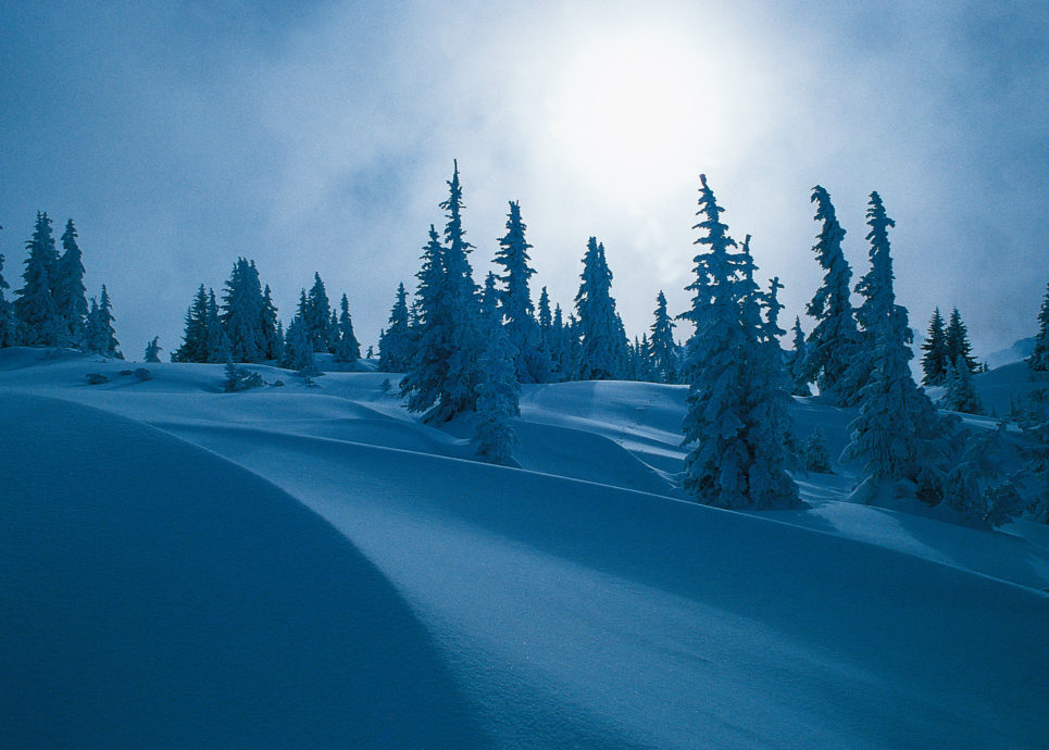 Winterlandschaft (c) Andreas-Gassner/Vorarlberg Tourismus