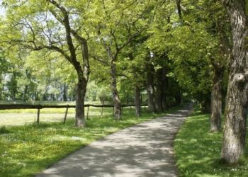 Barrierefrei wandern, Wanderweg Bodensee