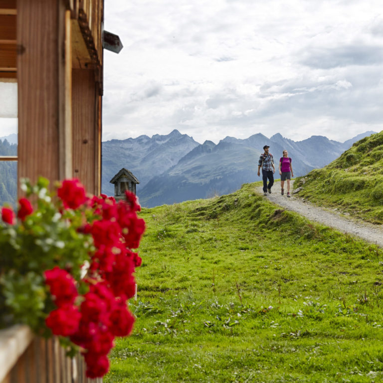 Wandern auf die Alpe Sattelegg im Bregenzewald © Adolf Bereuter / Bregenzerwald Tourismus