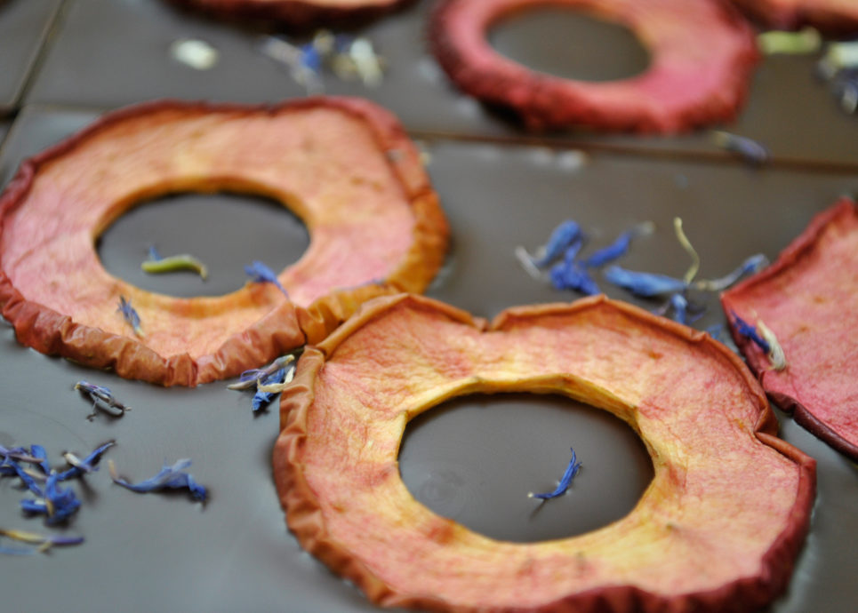 Souvenir aus Vorarlberg, Edelschokolade mit Apfel Weirouge © Fenkart Schokoladengenuss