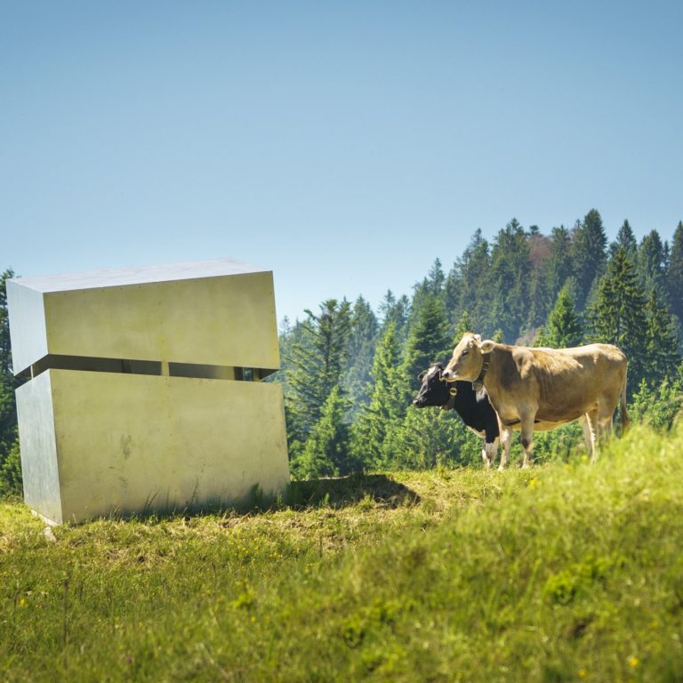 Georunde Rindberg, Sibratsgfäll, Bregenzerwald (c) Dietmar Denger / Vorarlberg Tourismus