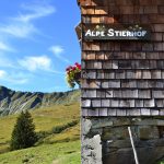Alpe Stierhof – ein sonniges Plätzchen unterhalb der Ochsenhofer Köpfe
