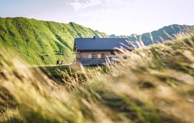 Bärguntalpe, Kleinwalsertal (c) Dietmar Denger / Vorarlberg Tourismus