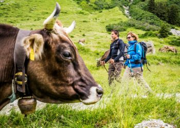 Wandern im Garnertatal, Alpe Garnera, Montafon (c) Dietmar Denger / Vorarlberg Tourismus