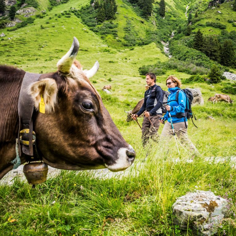 Wandern im Garnertatal, Alpe Garnera, Montafon (c) Dietmar Denger / Vorarlberg Tourismus
