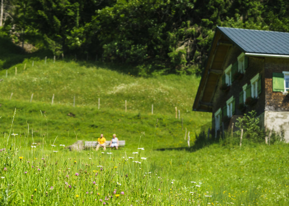 Alpe Streichbrunnen (c) Dietmar Denger / Vorarlberg Tourismus