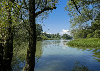 Alter Rhein, Rheindelta, Naturvielfalt in Vorarlberg (c) Joachim Megwer / Vorarlberg Tourismus