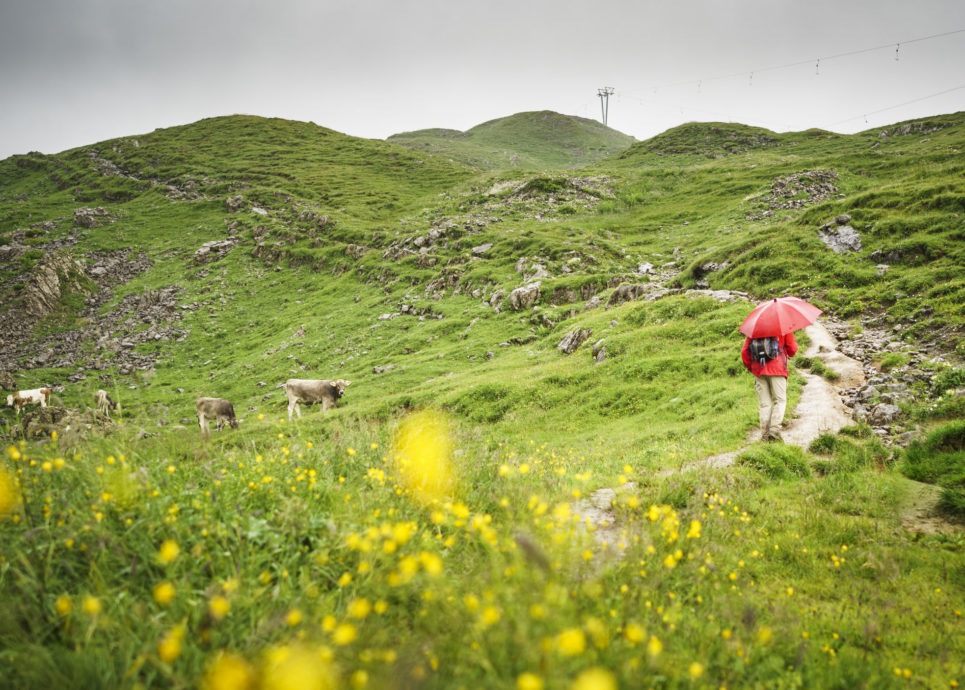 Aufstieg aufs Gottesackerplateau (c) Dietmar Denger / Vorarlberg Tourismus