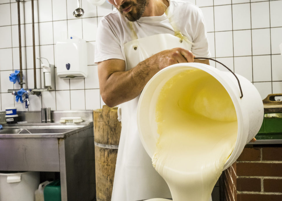 Christian Kartnig Alpe Garnera, Montafoner Suura Kees Käse (c) Dietmar Denger / Vorarlberg Tourismus