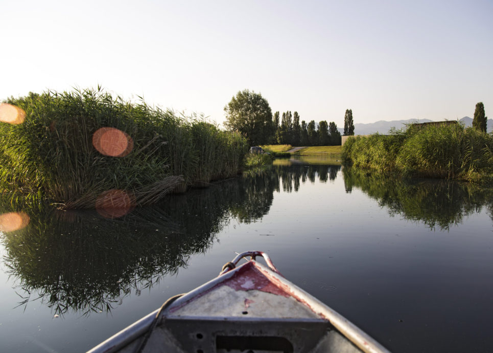 Fischer Franz Blum Rohrspitz Fußach (c) Joachim Negwer / Vorarlberg Tourismus
