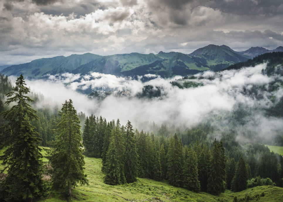 Kleinwalsertal, Bergstation Ifensessellift (c) Vorarlberg Tourismus