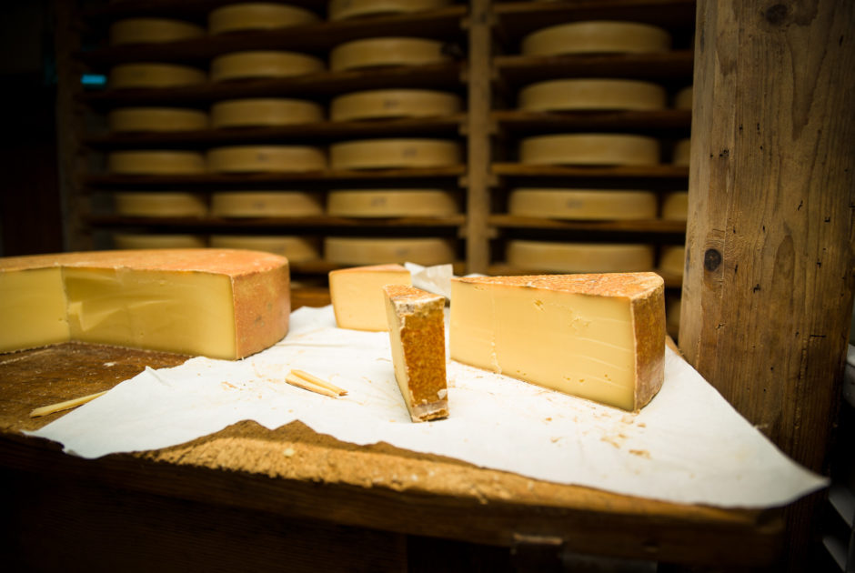 Mehrere Stücke Käse auf einem Holztisch, im Hintergrund sieht man mehrere Käselaibe in einem Regal.