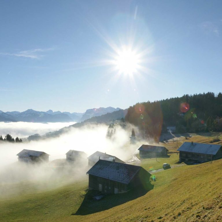 Herbststimmung am Bödele, mit Blick auf den Nebel im Tal, bunten Bäume im Hintergrund