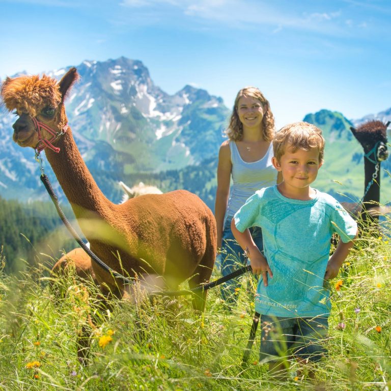Top Family Familienhotel Alpenresort Walsertal, Sommerwanderung mit Alpakas © Alpenresort Walsertal