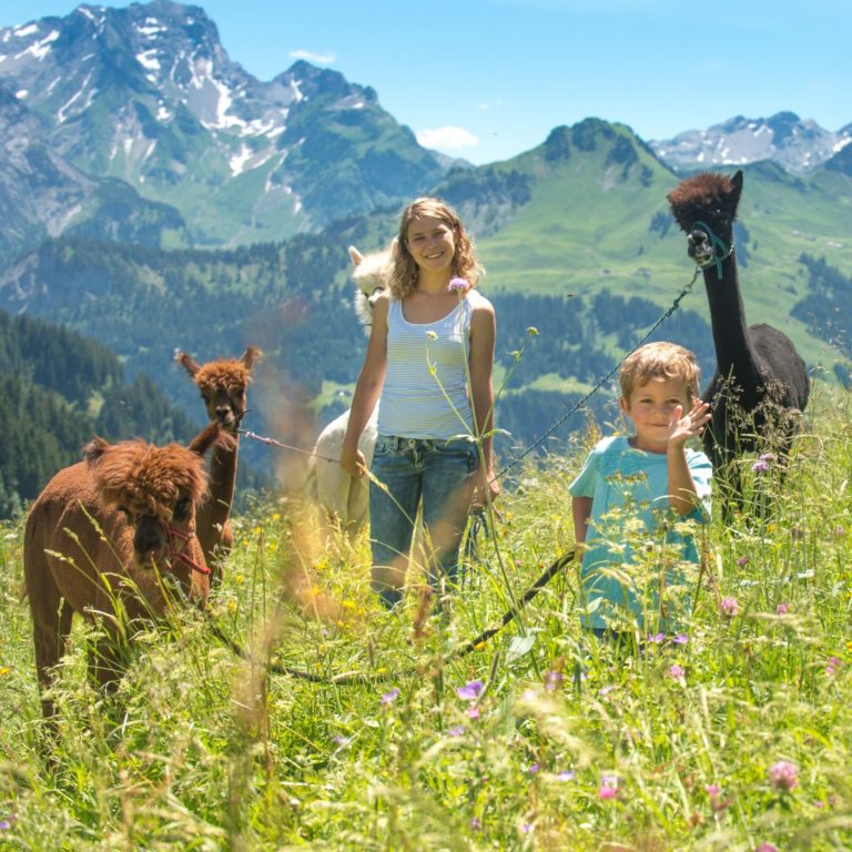 Top Family Familienhotel Alpenresort Walsertal, Wanderung mit Alpakas © Alpenresort Walsertal