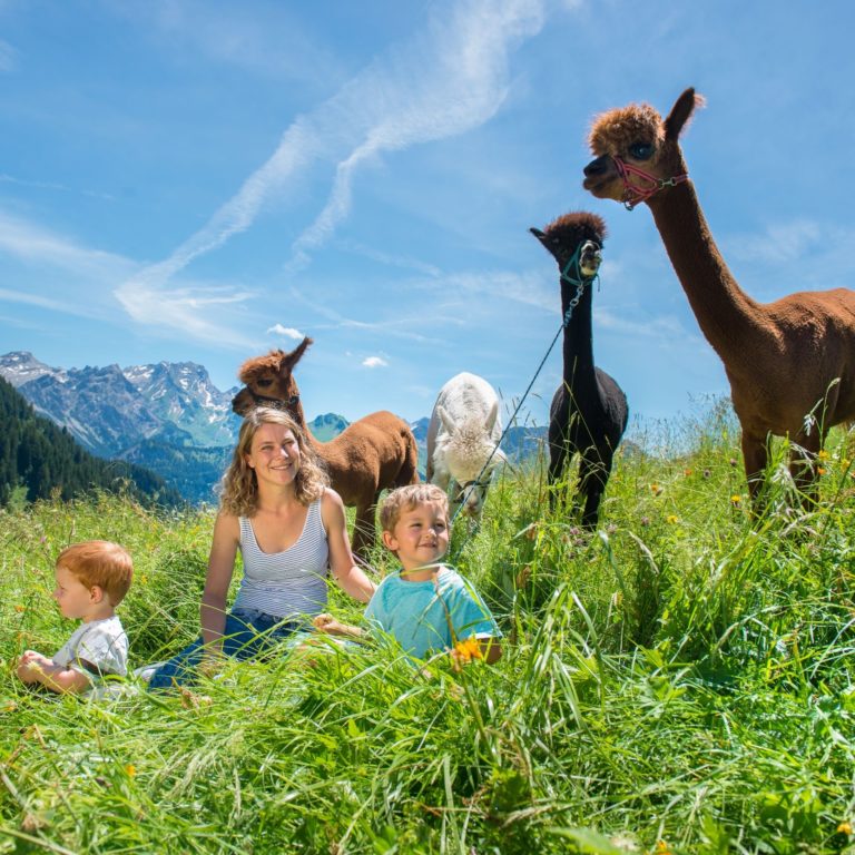 Top Family Familienhotel Alpenresort Walsertal, Wanderung mit Alpakas © Alpenresort Walsertal