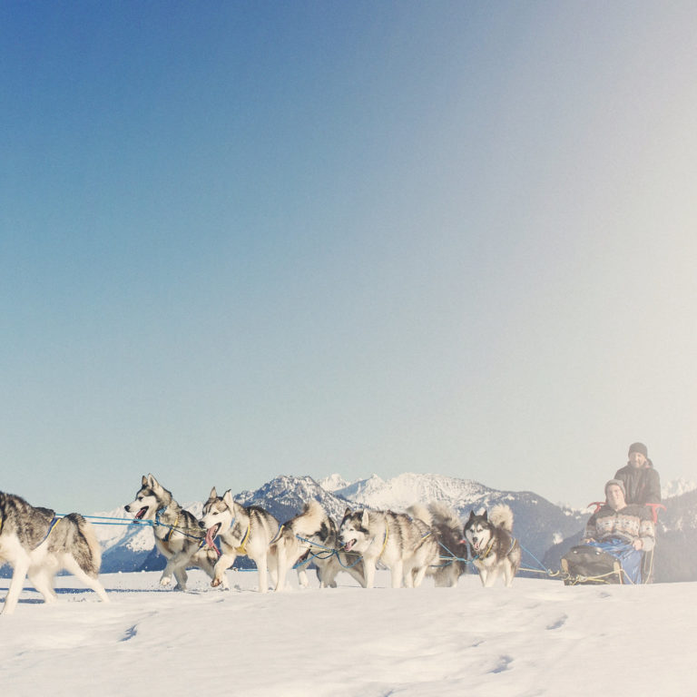 Husky Toni, Brandnertal/Bürserberg © Markus Gmeiner / Vorarlberg Tourismus GmbH