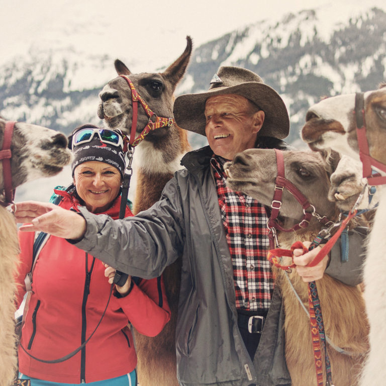 Lama Trekking, Bartholomäberg/Silbertal © Markus Gmeiner / Vorarlberg Tourismus GmbH