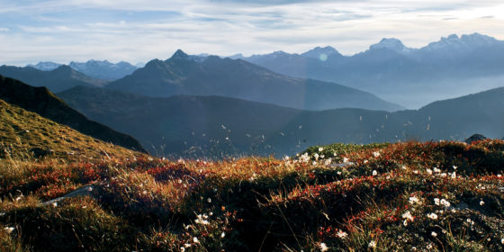 Wald am Arlberg, Herbst in Vorarlberg © Marco Mathis / Vorarlberg Tourismus