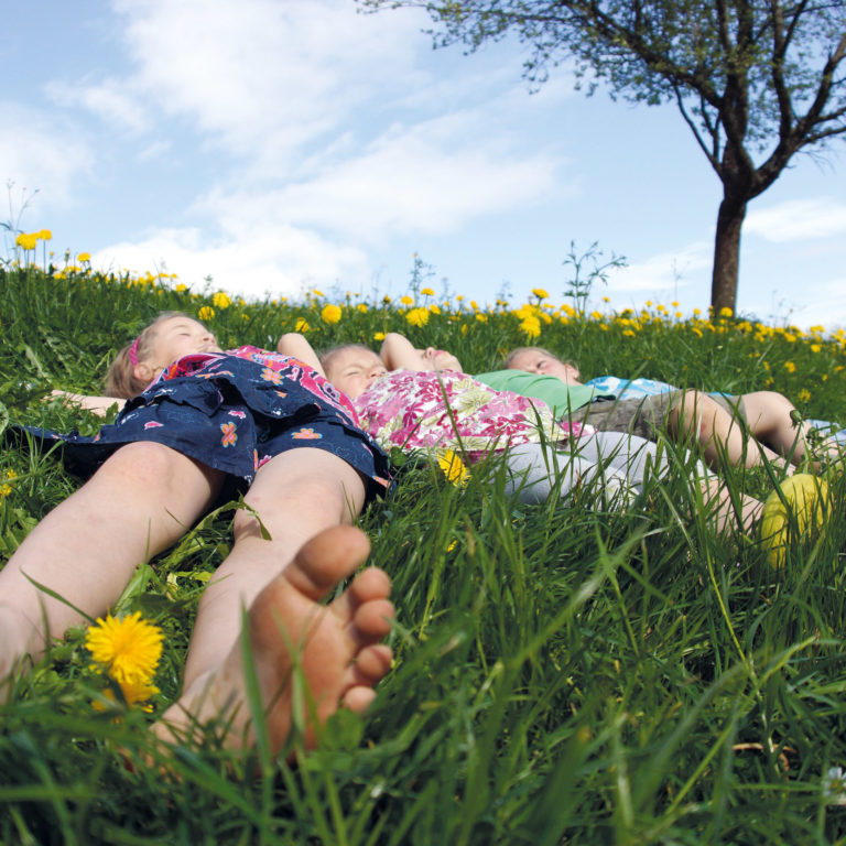 Frühlingswiese mit Kindern, Frühsommer in Vorarlberg © Ludwig Berchtold / Vorarlberg Tourismus