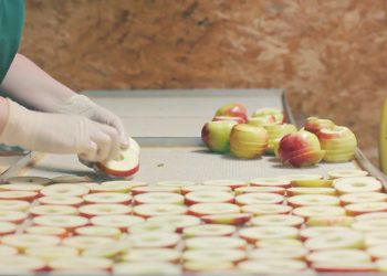 Schobel Höchstgenuss, Made in Vorarlberg, Video © Markus Gmeiner Matak films / Vorarlberg Tourismus GmbH