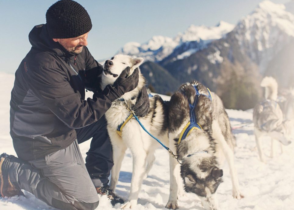 Husky Toni, Bürserberg (c) Markus Gmeiner - Vorarlberg Tourismus GmbH