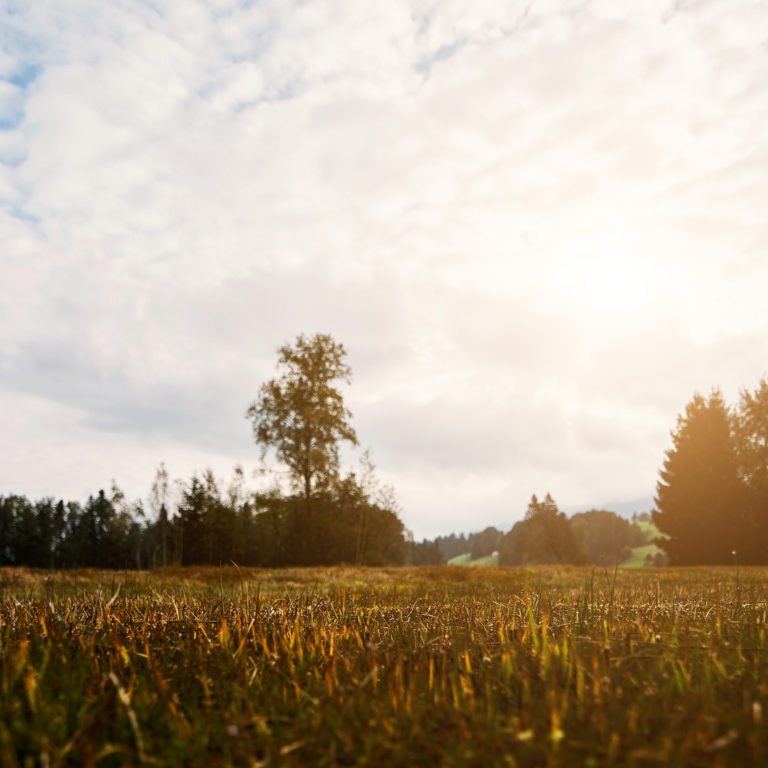 Moore Krumbach (c) Markus Gmeiner - Vorarlberg Tourismus GmbH