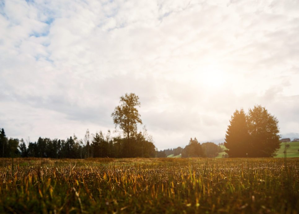 Moore Krumbach (c) Markus Gmeiner - Vorarlberg Tourismus GmbH