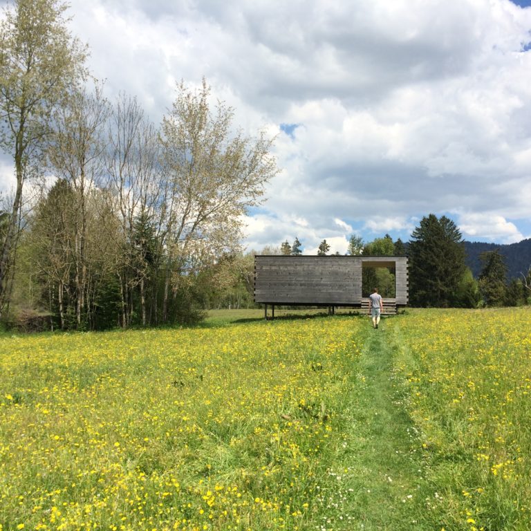 Moorraum Krumbach (c) Vorarlberg Tourismus-Katrin Preuss