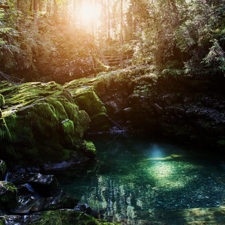 Naturbrücke, Kleinwalsertal © Markus Gmeiner / Vorarlberg Tourismus GmbH