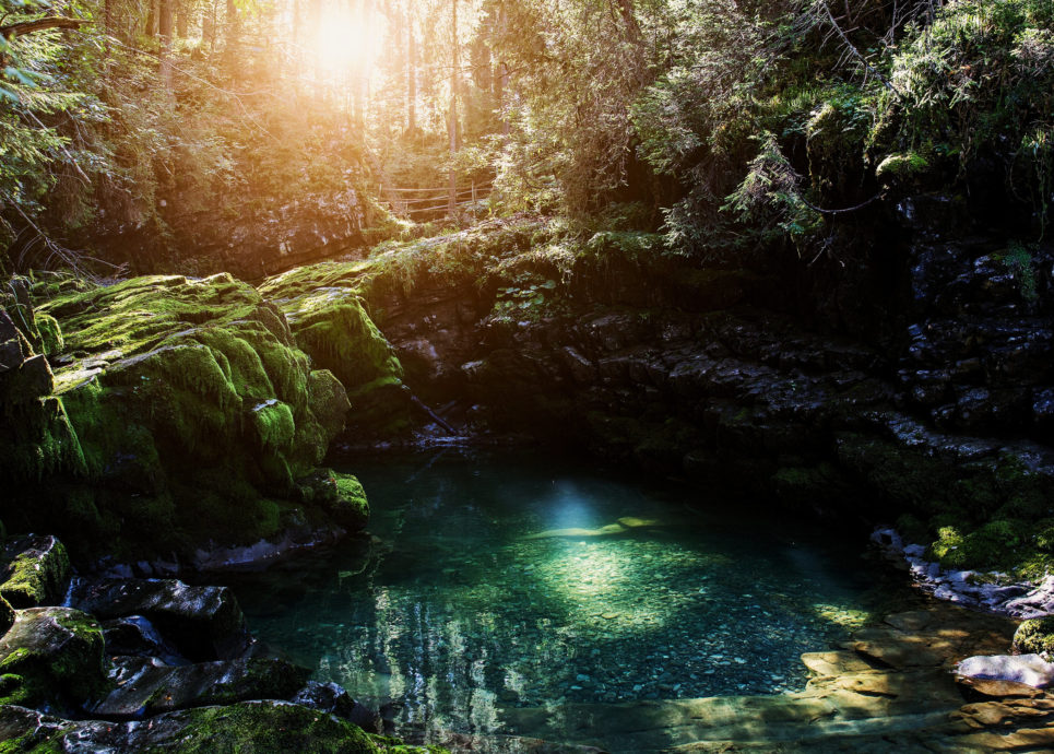 Naturbrücke, Kleinwalsertal © Markus Gmeiner / Vorarlberg Tourismus GmbH