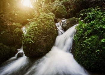 Wasserwanderweg Hittisau, Bregenzerwald © Markus Gmeiner / Vorarlberg Tourismus GmbH