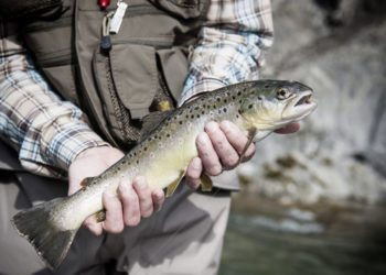Fliegenfischen im Bregenzerwald (c) Michael Namberger - Bregenzerwald Tourismus