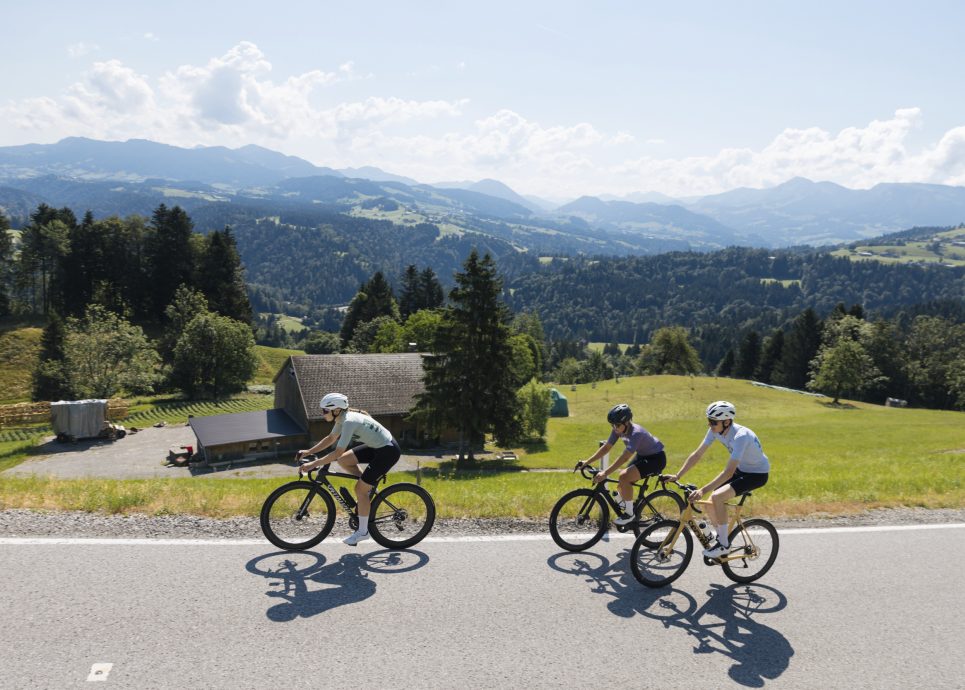 Drei Rennradfahrer:innen fahren im Bregenzerwald in Vorarlberg vor einem grünen, sanften Bergpanorama einen leichten Anstieg.