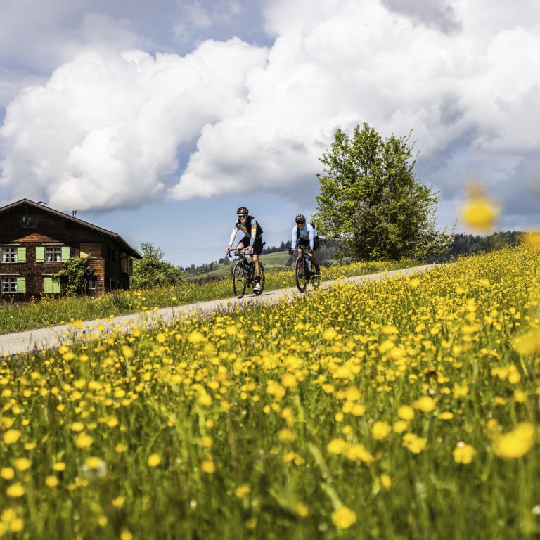 Zwei Rennradfahrer:innen fahren durch die blühende Hügellandschaft im Bregenzerwald in Vorarlberg, vorbei an traditionellen Holzhäusern und gelben Frühlingswiesen.