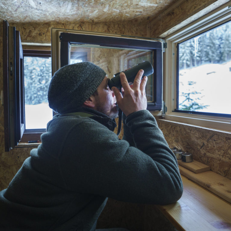 Andi Fritz Wildfuetterung Hoefle-Alp in Schwende-25 © Dietmar Denger / Vorarlberg Tourismus