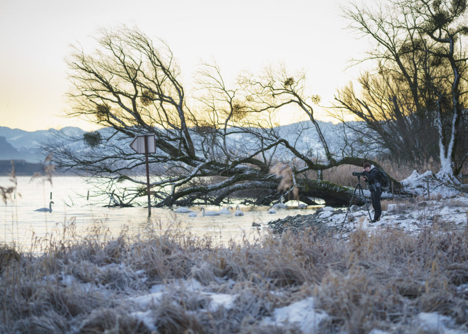 Birdwatching Rheinspitz Johanna Kronberger-8 © Dietmar Denger / Vorarlberg Tourismus