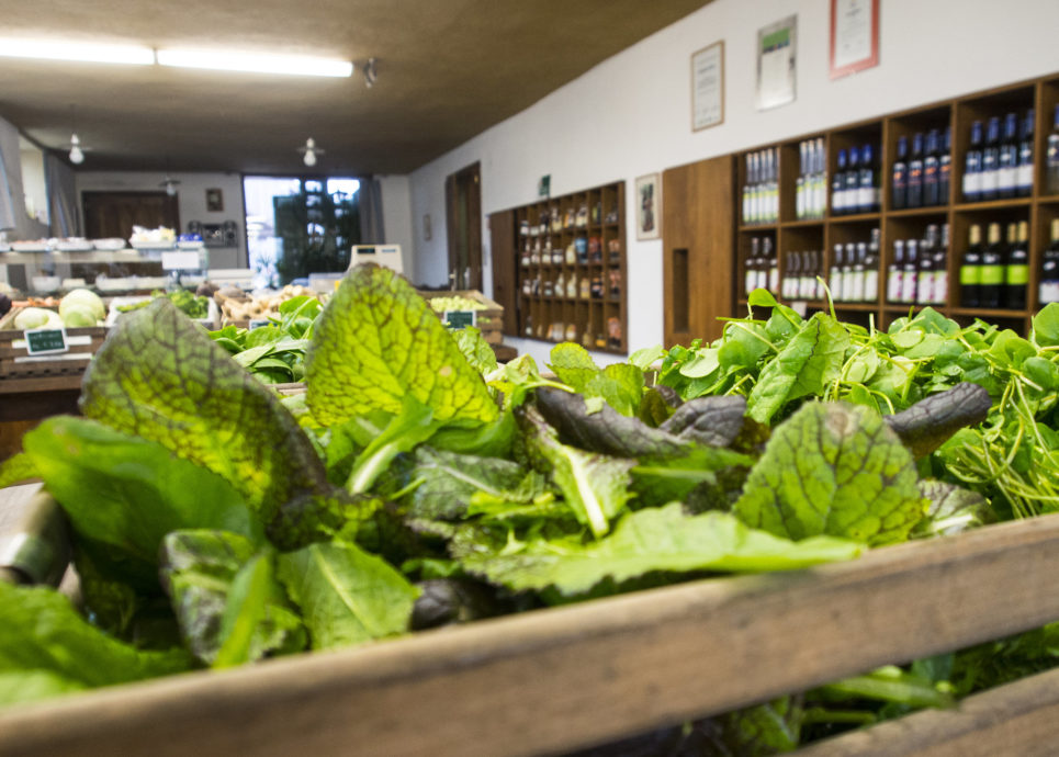 Hofladen Lisilis Biohof © Agnes Ammann / Vorarlberg Tourismus