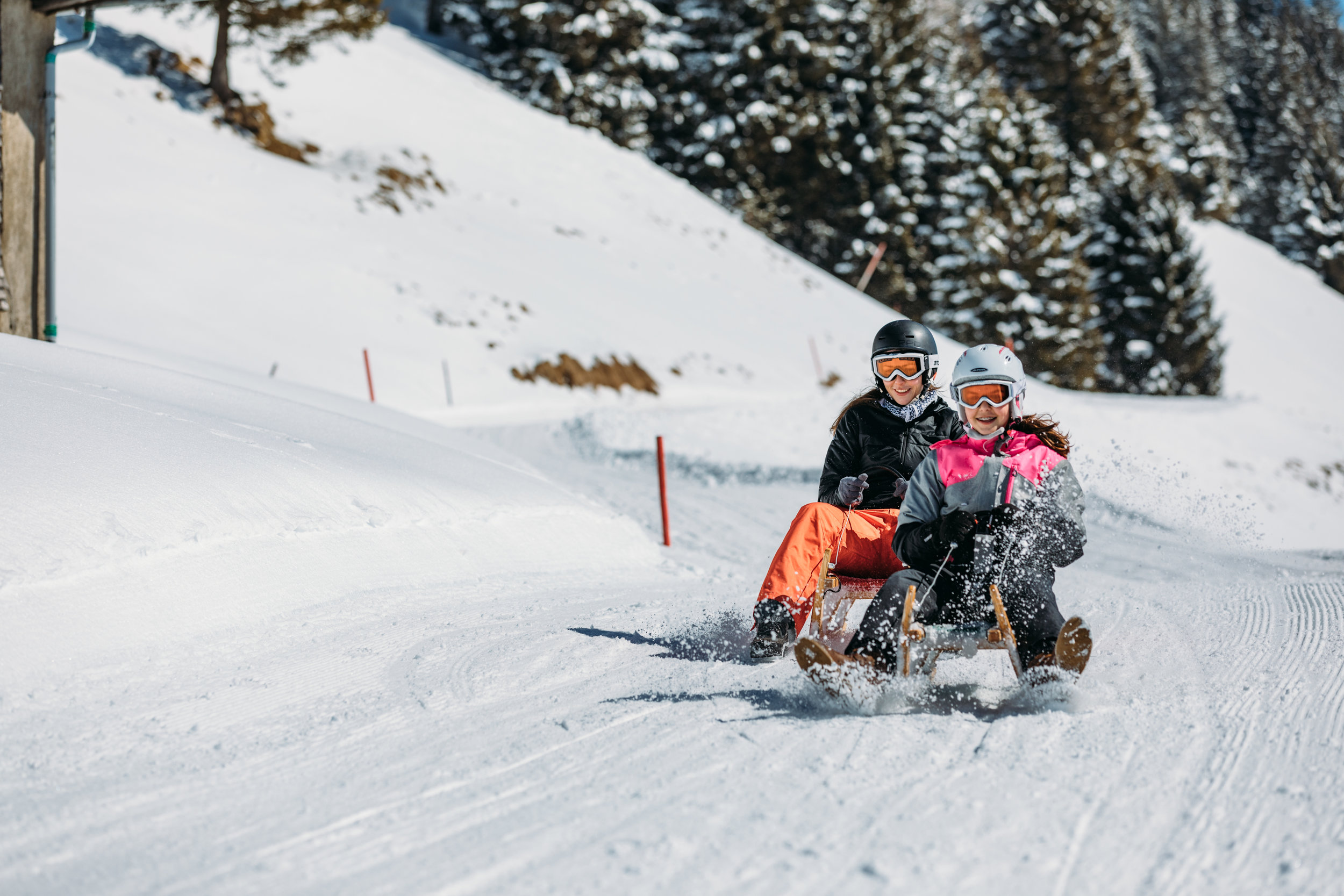 Toboggan in Vorarlberg - Heading Down the Valley in a Sledge