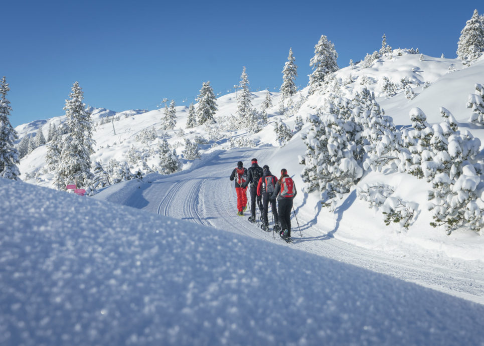 Schneeschuhtour Sonnenkopf zum Muttjoechle © Dietmar Denger / Vorarlberg Tourismus